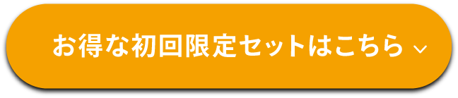 お得な初回限定セットはこちら