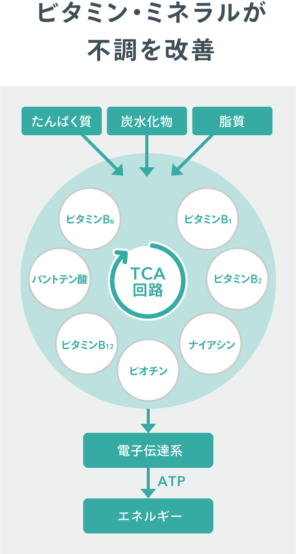 ビタミン・ミネラルが不調を改善